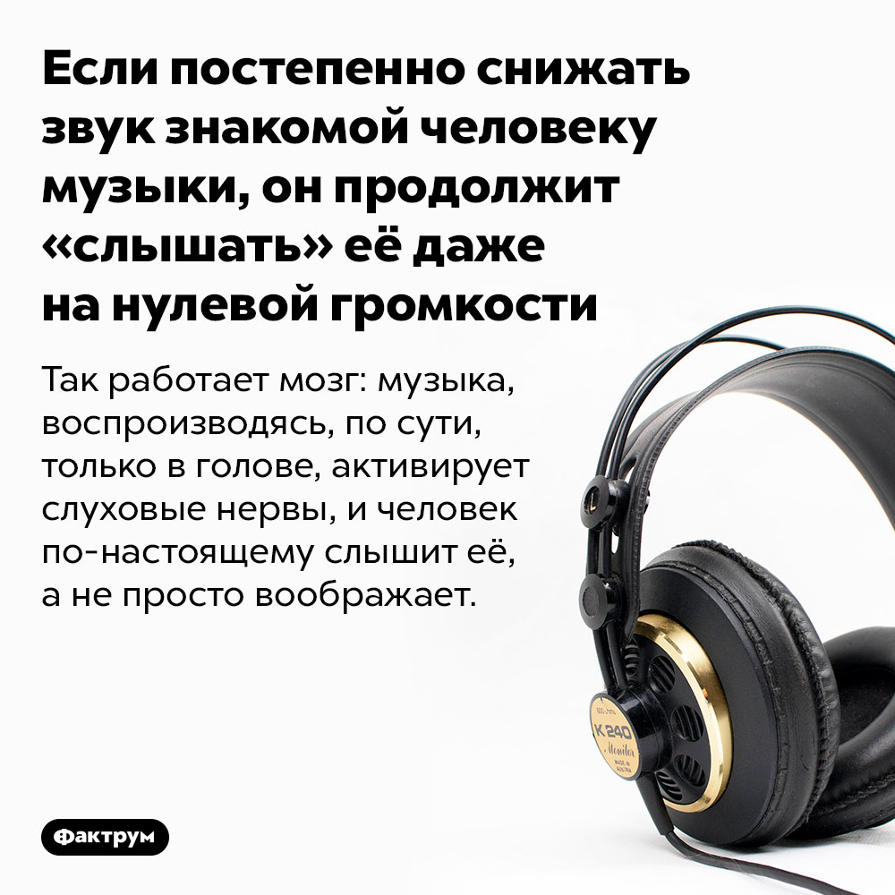 Если постепенно снижать звук знакомой человеку музыки, он продолжит «слышать» её даже на нулевой громкости. Так работает мозг: музыка, воспроизводясь, по сути, только в голове, активирует слуховые нервы, и человек по-настоящему слышит её, а не просто воображает.
