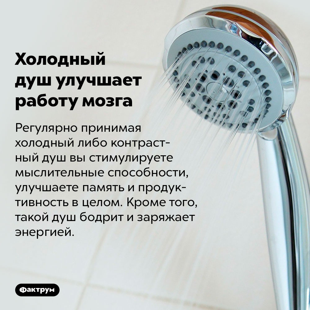 Холодный душ улучшает работу мозга. Регулярно принимая холодный либо контрастный душ вы стимулируете мыслительные способности, улучшаете память и продуктивность в целом. Кроме того, такой душ бодрит и заряжает энергией.