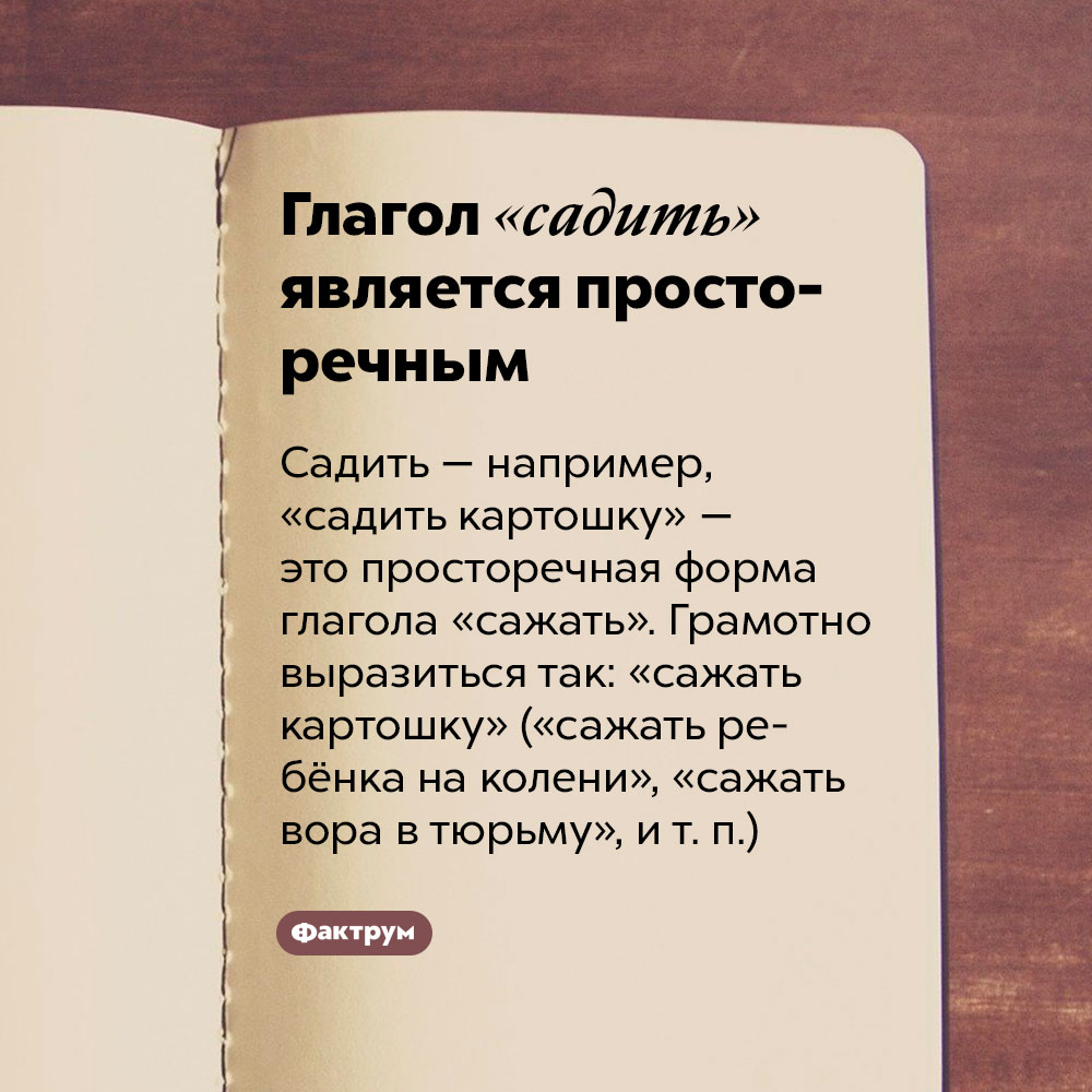 Глагол «садить» является просторечным. Садить — например, «садить картошку» —  это просторечная форма глагола «сажать». Грамотно выразиться так: «сажать картошку» («сажать ребёнка на колени», «сажать вора в тюрьму», и т. п.)
