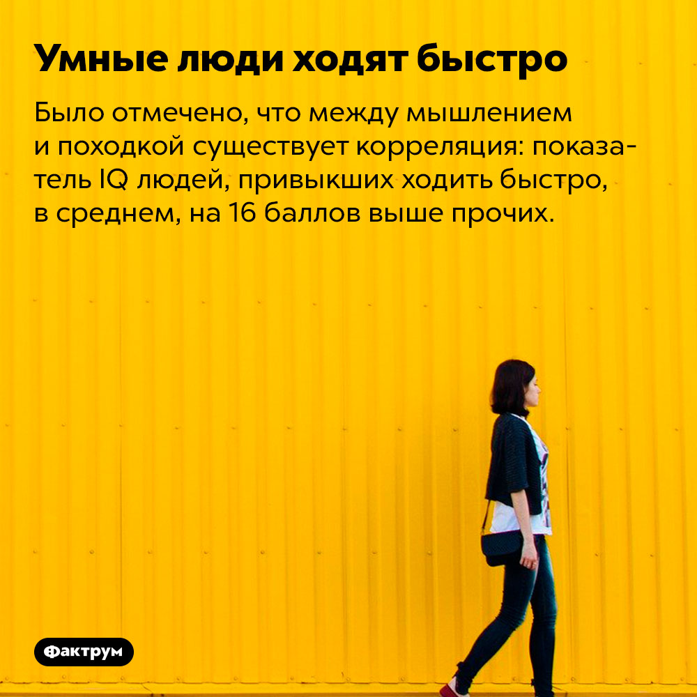 Идти быстро. Быстро идущий человек. Почему люди ходят быстро. Умные люди ходят быстро. Одинокие люди быстро ходят.