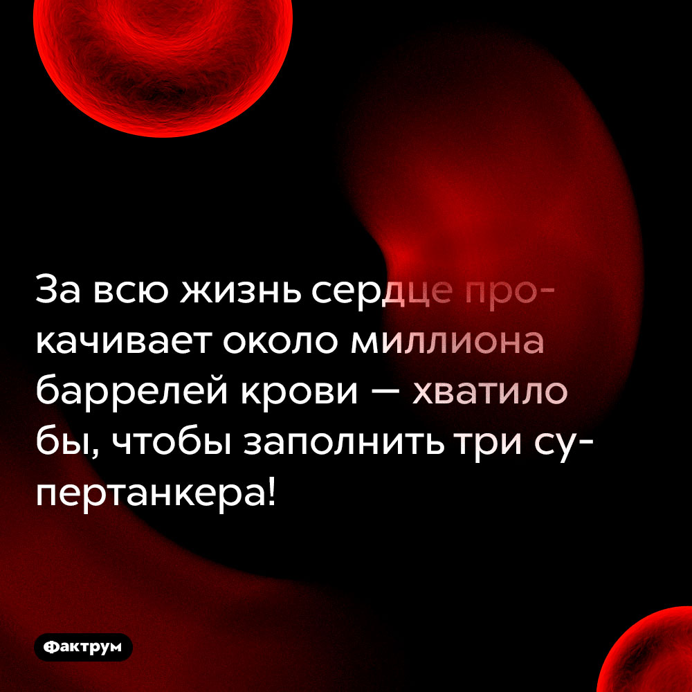 За всю жизнь сердце прокачивает около миллиона баррелей крови. Хватило бы, чтобы заполнить три супертанкера!