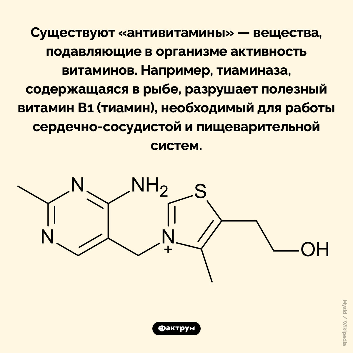 Антивитамины. Существуют «антивитамины» — вещества, подавляющие в организме активность витаминов. Например, тиаминаза, содержащаяся в рыбе, разрушает полезный витамин В1 (тиамин), необходимый для работы сердечно-сосудистой и пищеварительной систем.
