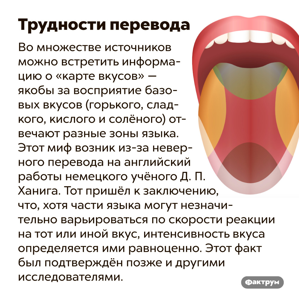 «Карта вкусов» — это миф. Во множестве источников можно встретить информацию о «карте вкусов» — якобы за восприятие базовых вкусов (горького, сладкого, кислого и солёного) отвечают разные зоны языка. Этот миф возник из-за неверного истолкования и перевода на английский работы 1901 года немецкого учёного Д. П. Ханига. Тот пришёл к заключению, что, хотя части языка могут незначительно варьироваться по скорости реакции на тот или иной вкус, интенсивность вкуса определяется ими равноценно. Тот факт, что любая зона языка может зафиксировать любой вкус, был подтверждён позже другими исследователями.