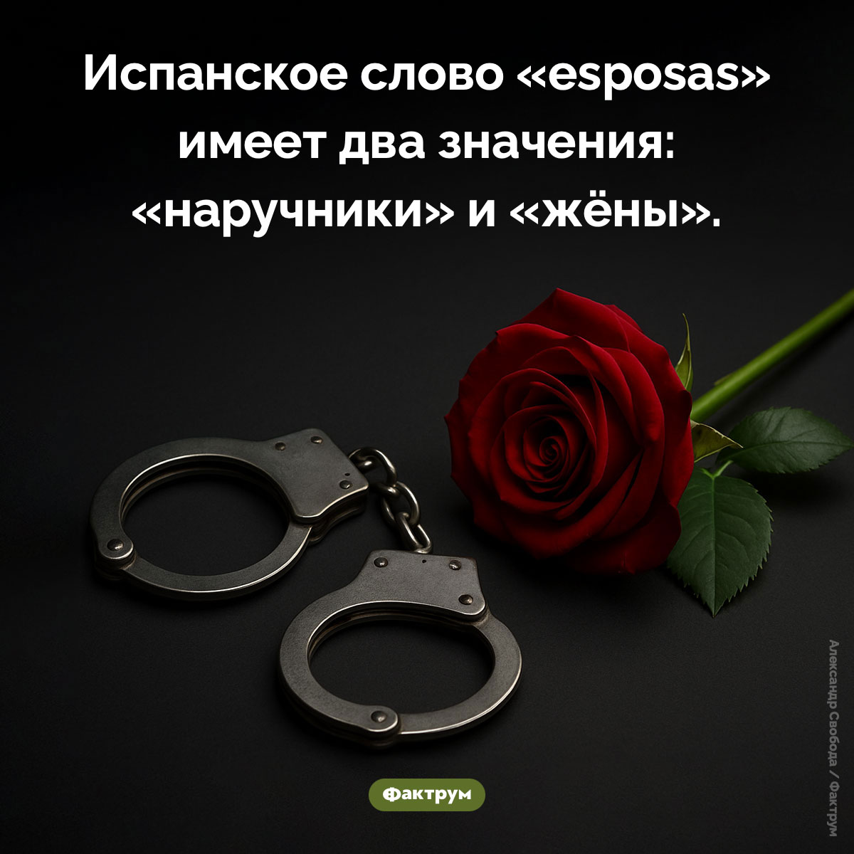 Испанское слово «esposas»