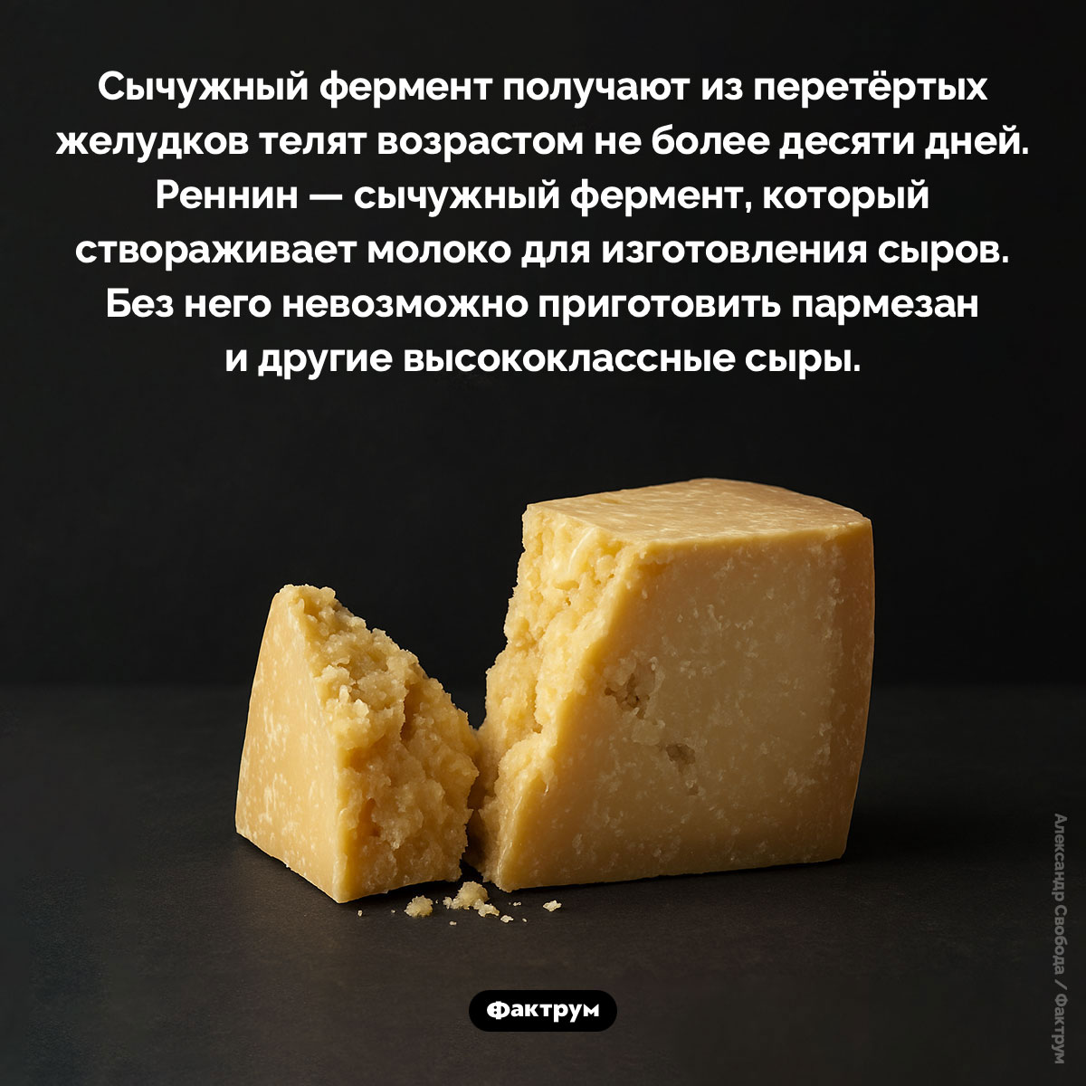 Как получают сычужный фермент