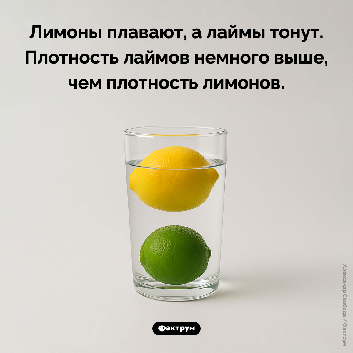 Лаймы тонут, а лимоны плавают