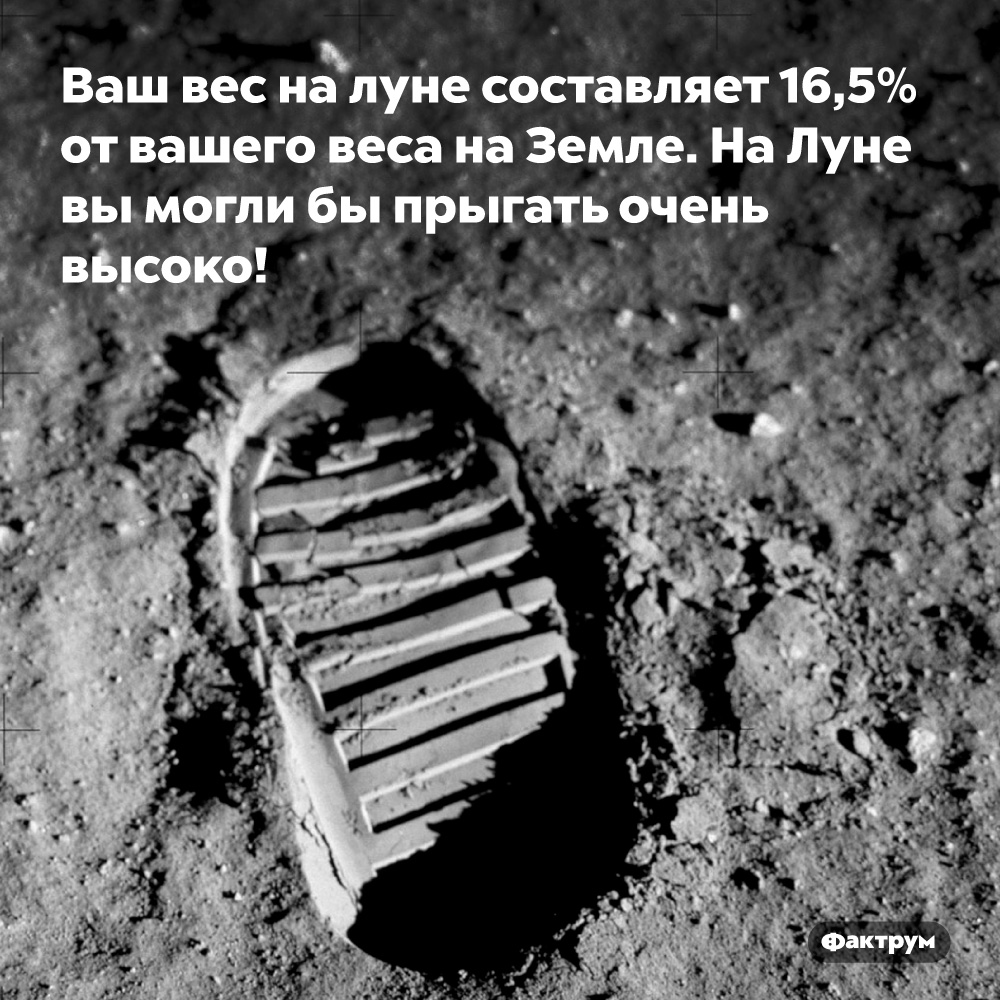 Ваш вес на Луне составляет 16,5% от вашего веса на Земле. На Луне вы могли бы прыгать очень высоко!