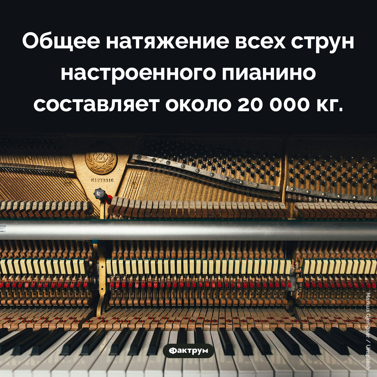 Натяжение струн пианино. Общее натяжение всех струн настроенного пианино составляет около 20000 кг.
