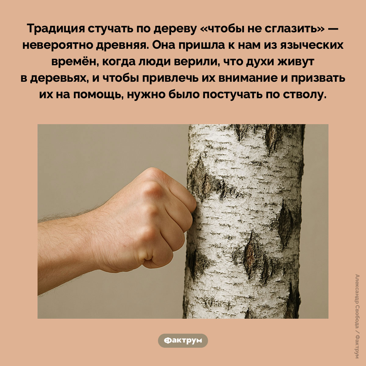 Откуда пошла традиция стучать по дереву