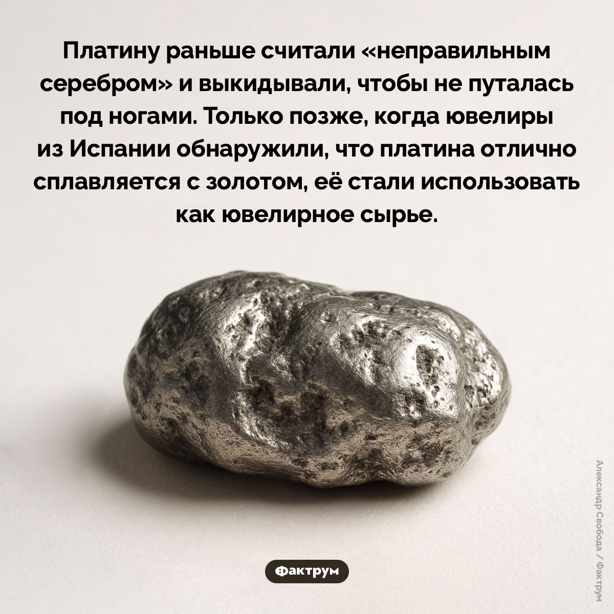 Платину считали «неправильным серебром». Платину раньше считали «неправильным серебром» и выкидывали, чтобы не путалась под ногами. Только позже, когда ювелиры из Испании обнаружили, что платина отлично сплавляется с золотом, её стали использовать как ювелирное сырье.