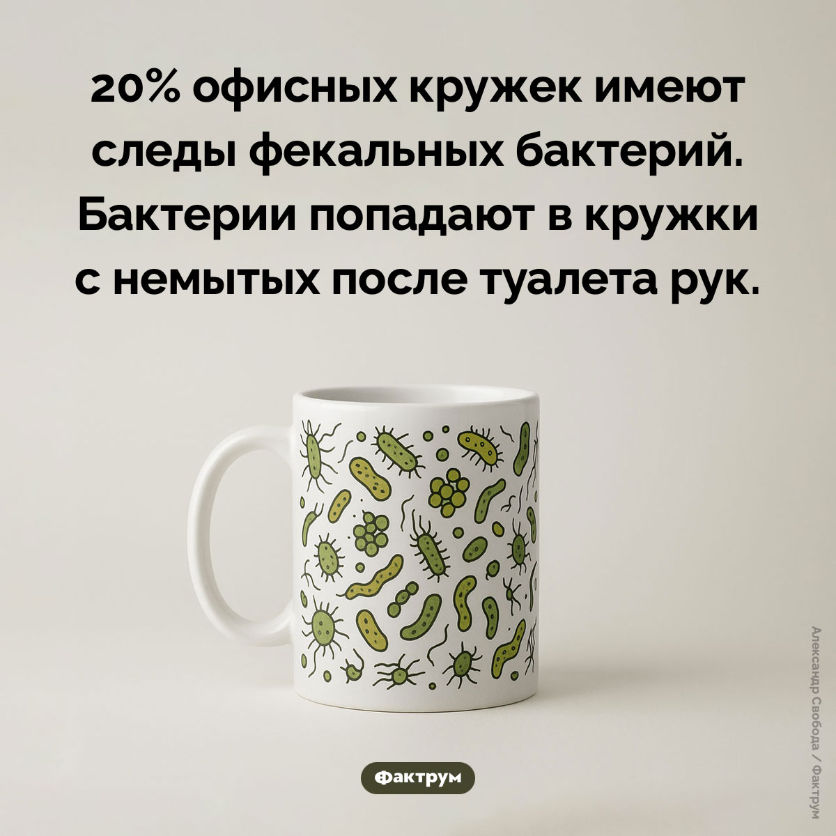 Следы фекальных бактерий на офисных кружках