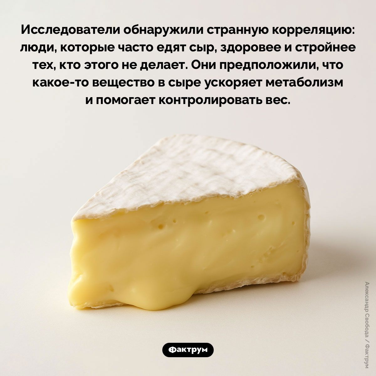 Сыр улучшает метаболизм. Исследователи обнаружили странную корреляцию: люди, которые часто едят сыр, здоровее и стройнее тех, кто этого не делает. Они предположили, что какое-то вещество в сыре ускоряет метаболизм и помогает контролировать вес.