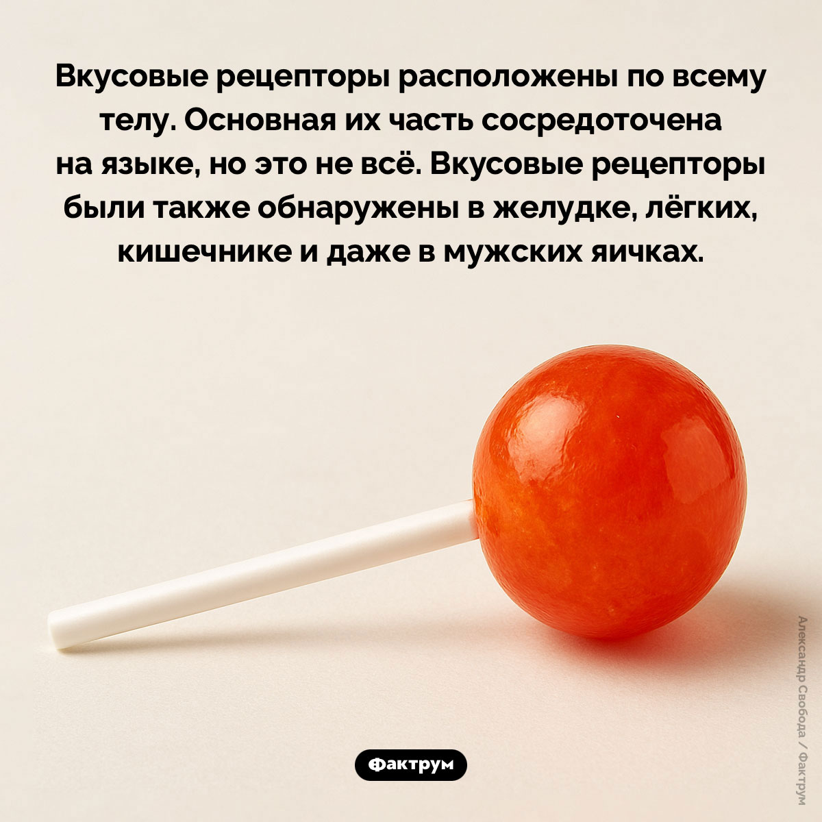 Вкусовые рецепторы