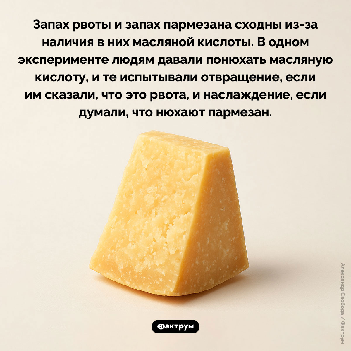 Запах рвоты и запах пармезана
