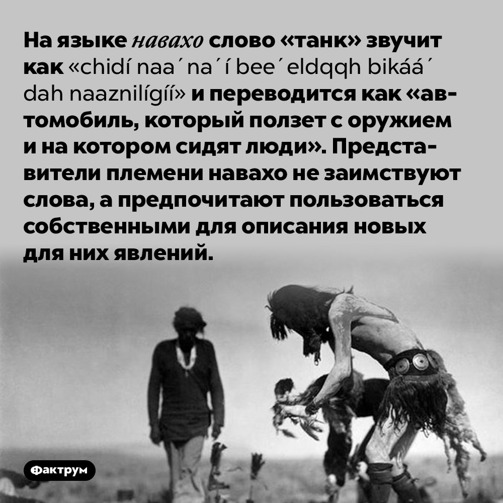 Слово «танк» на языке навахо звучит как целая фраза. На языке навахо слово «танк» звучит как chidí naaʼnaʼí beeʼeldǫǫh bikááʼ dah naaznilígíí и переводится как «автомобиль, который ползет с оружием и на котором сидят люди». Представители племени навахо не заимствуют слова, а предпочитают пользоваться собственными для описания новых для них явлений.