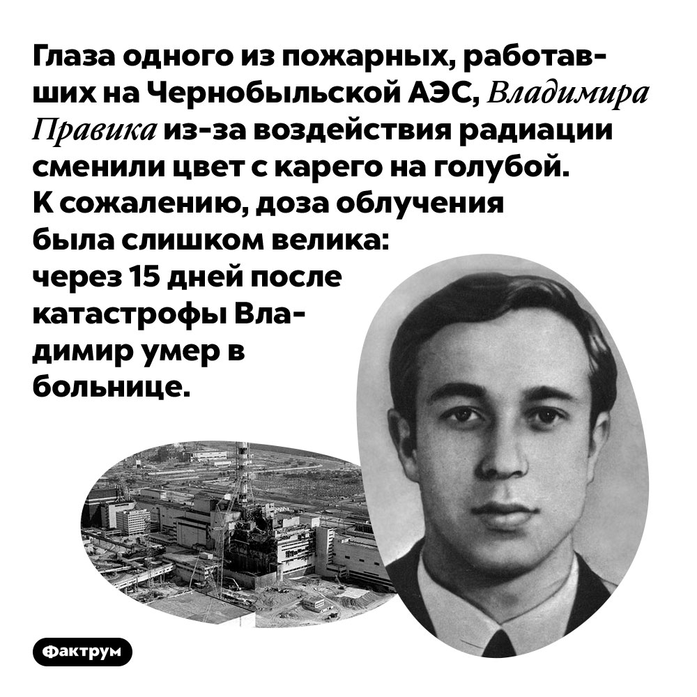 Глаза одного из пожарных, работавших на Чернобыльской АЭС, Владимира Правика из-за воздействия радиации сменили цвет с карего на голубой. К сожалению, доза облучения была слишком велика: через 15 дней после катастрофы Владимир умер в больнице.