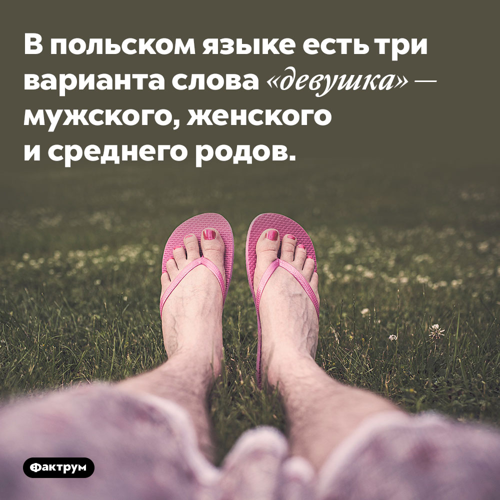 В польском языке есть три варианта слова «девушка». Мужского, женского и среднего родов.