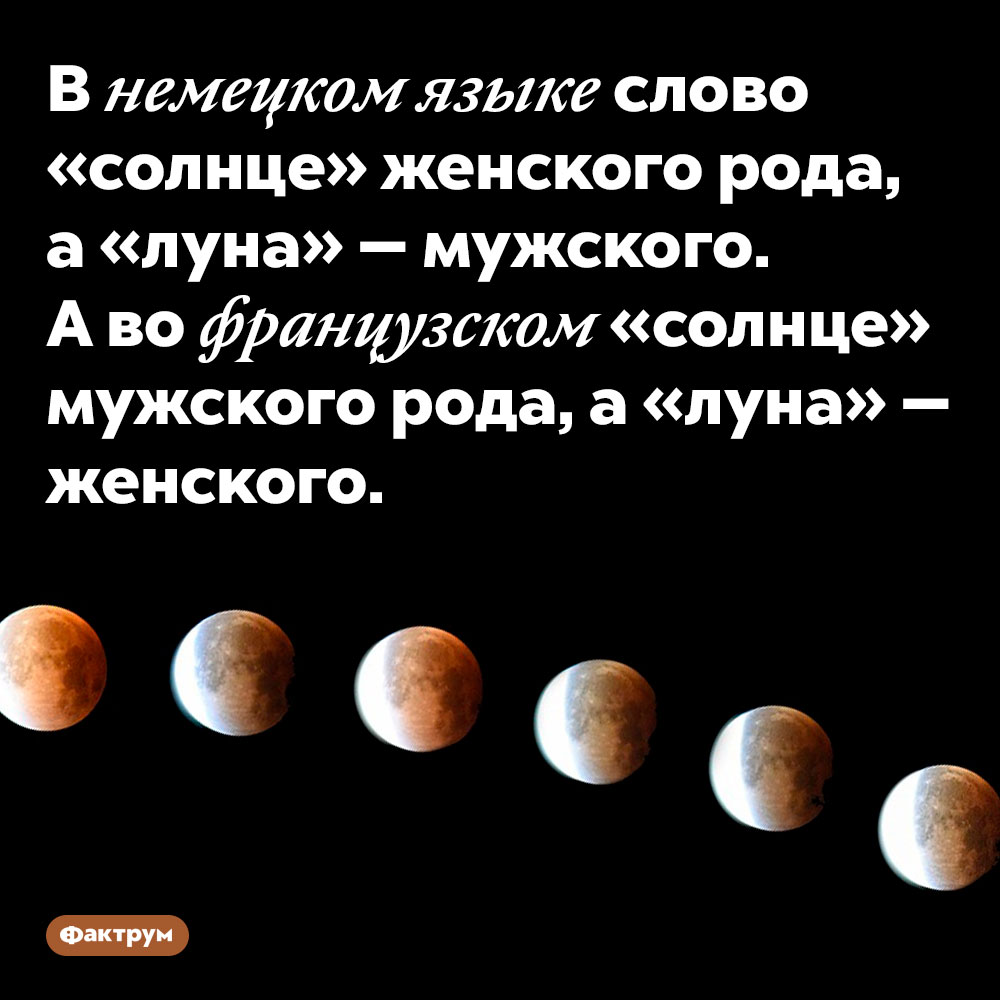 В немецком языке слово «солнце» женского рода, а «луна» — мужского. А во французском «солнце» мужского рода, а «луна» — женского.