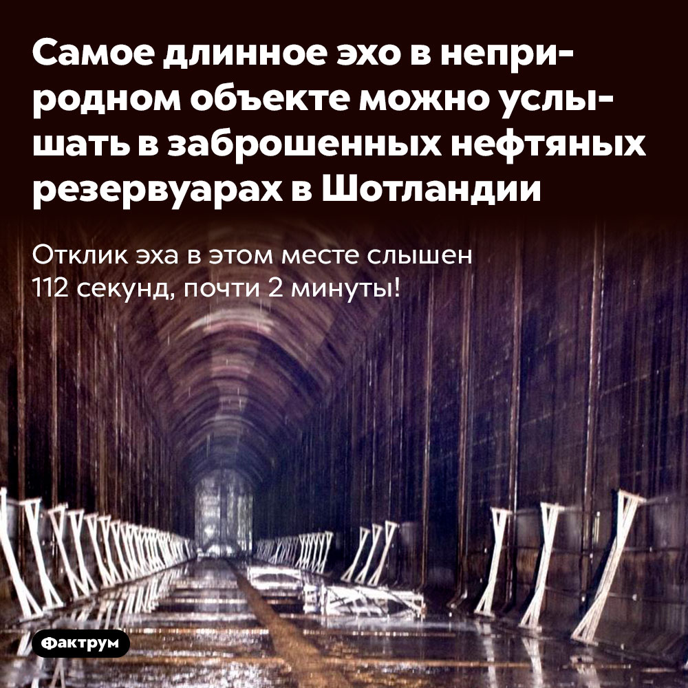 Самое длинное эхо в неприродном объекте можно услышать в заброшенных нефтяных резервуарах в Шотландии. Отклик эха в этом месте слышен 112 секунд, почти 2 минуты!