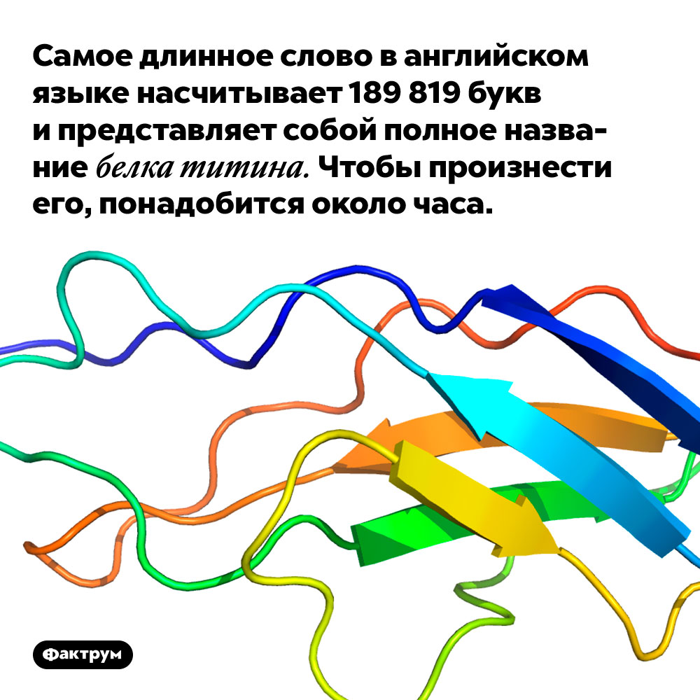 Текст из длинных слов. Белок титин полное название. Самое доменное слово в английском. Самое длинное слово в английском языке. Формула белка титина.