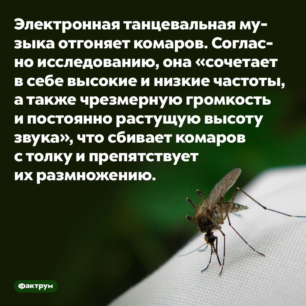 Электронная танцевальная музыка отгоняет комаров. Согласно исследованию, она «сочетает в себе высокие и низкие частоты, а также чрезмерную громкость и постоянно растущую высоту звука», что сбивает комаров с толку и препятствует их размножению.