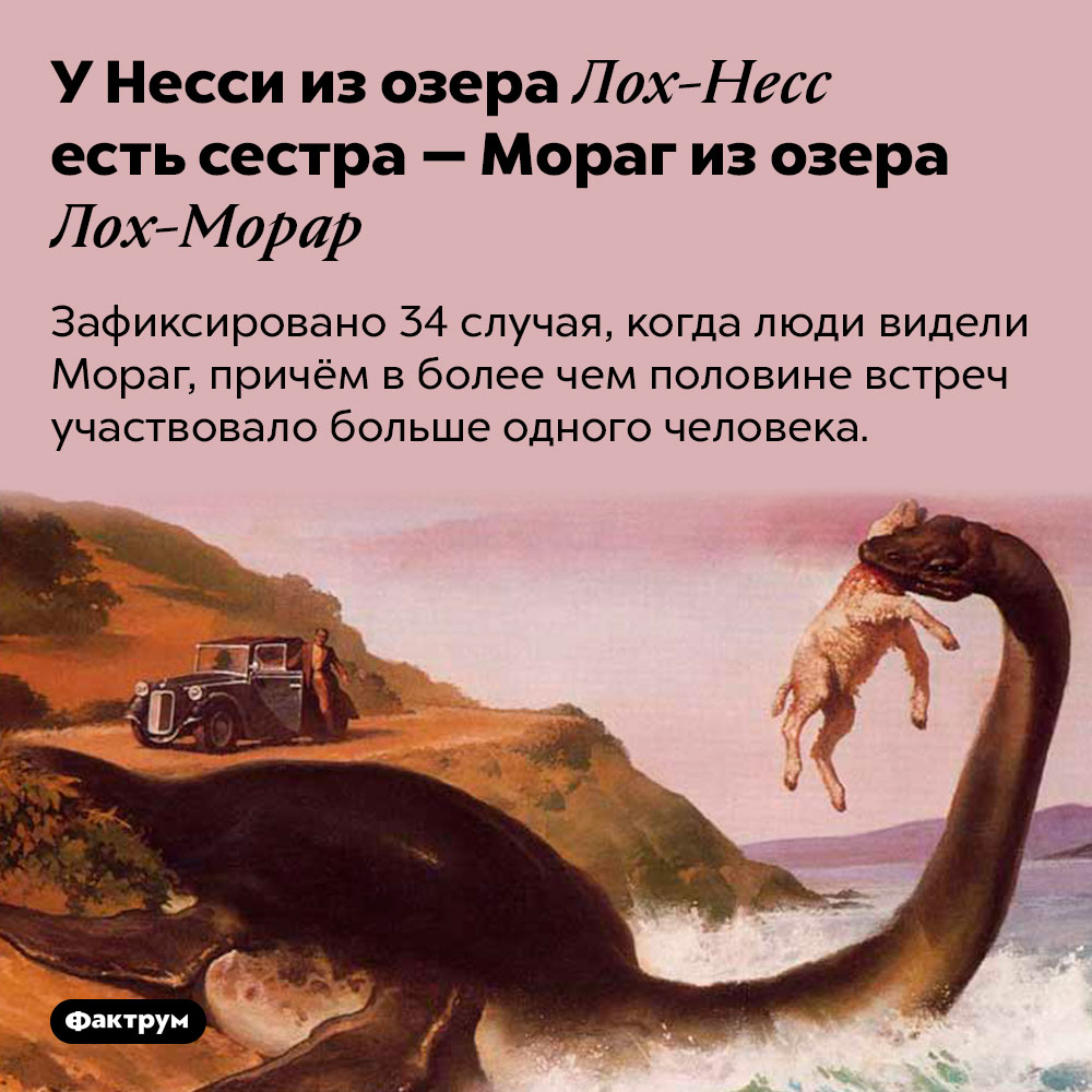 У Несси из озера Лох-Несс есть сестра — Мораг из озера Лох-Морар. Зафиксировано 34 случая, когда люди видели Мораг, причём в более чем половине встреч участвовало больше одного человека.
