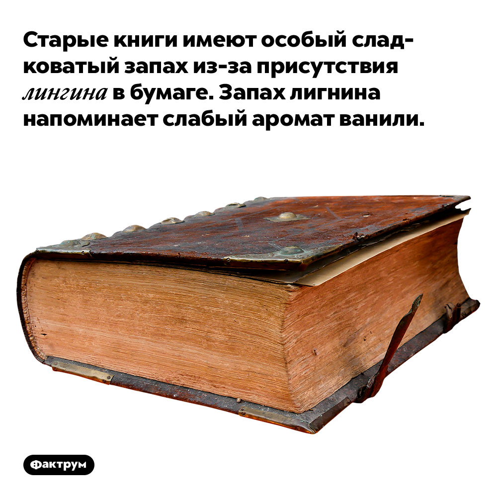 Старые книги имеют особый сладковатый запах из-за присутствия лигнина в бумаге. Запах лигнина напоминает слабый аромат ванили.