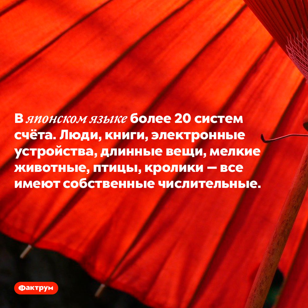 В японском языке более 20 систем счёта. Люди, книги, электронные устройства, длинные вещи, мелкие животные, птицы, кролики — все имеют собственные числительные.
