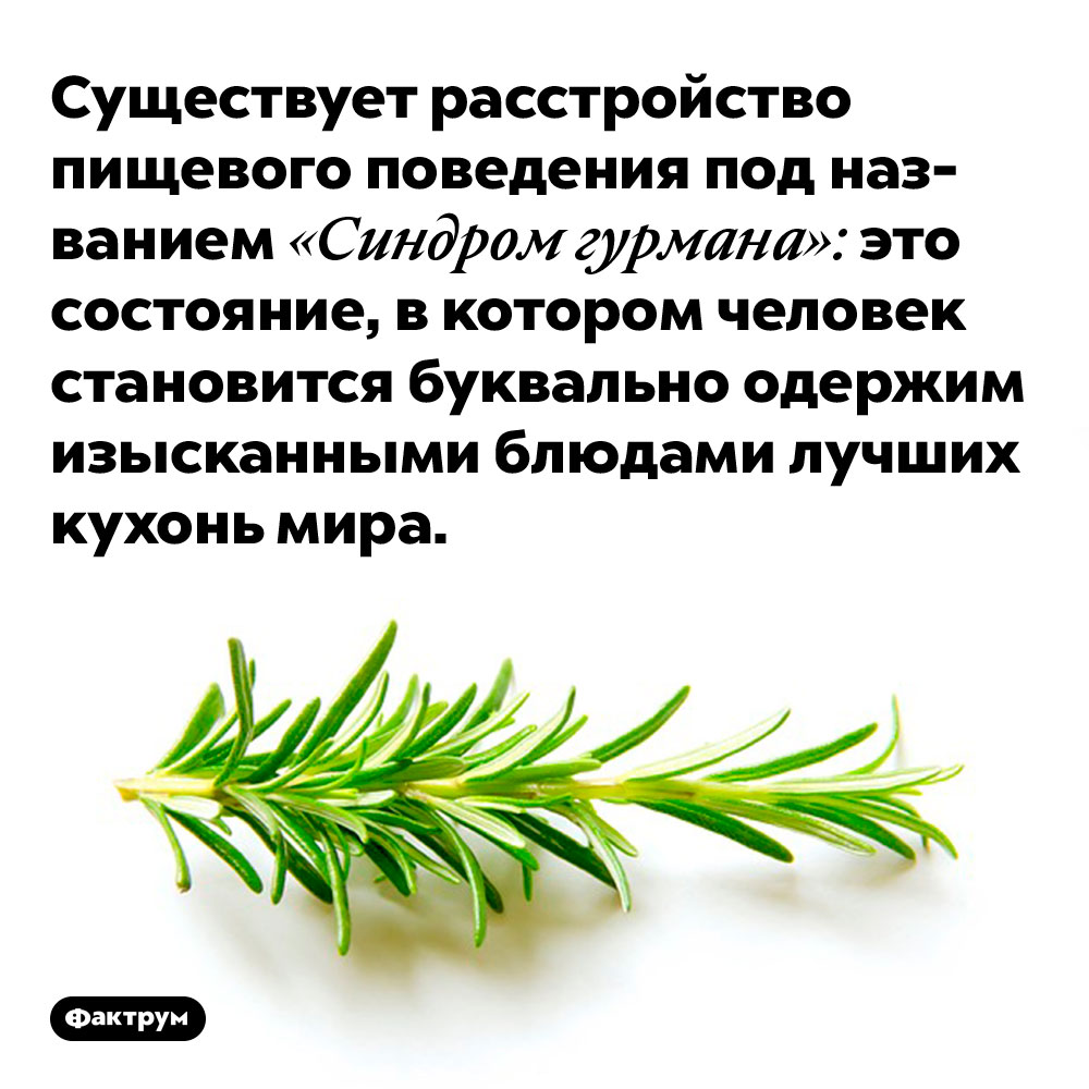 Существует расстройство пищевого поведения под названием «Синдром гурмана». Это состояние, в котором человек становится буквально одержим изысканными блюдами лучших кухонь мира.