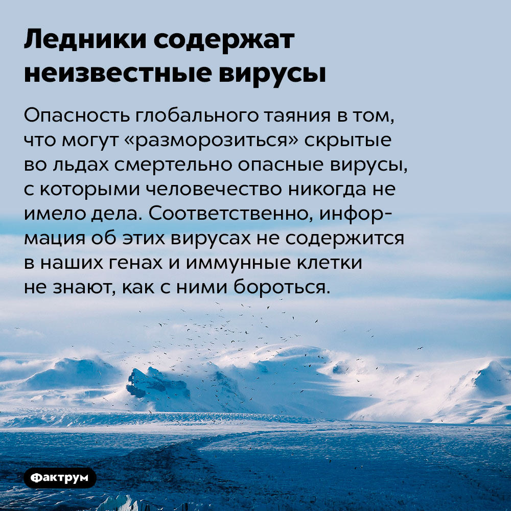 Ледники содержат неизвестные вирусы. Опасность глобального таяния в том, что могут «разморозиться» скрытые во льдах смертельно опасные вирусы, с которыми человечество никогда не имело дела. Соответственно, информация об этих вирусах не содержится в наших генах и иммунные клетки не знают, как с ними бороться.
