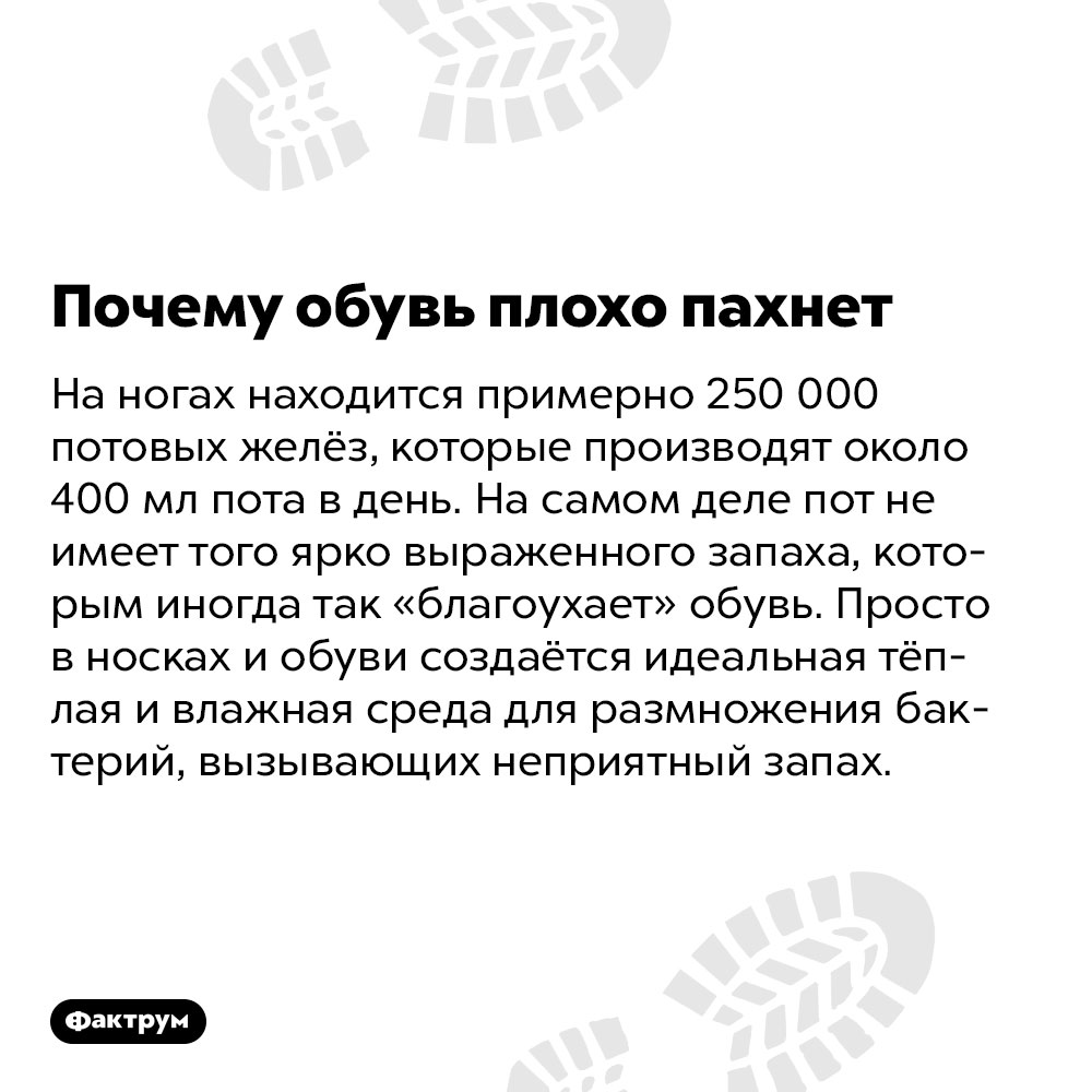 Почему обувь плохо пахнет. На ногах находится примерно 250 000 потовых желёз, которые производят около 400 мл пота в день. На самом деле пот не имеет того ярко выраженного запаха, которым иногда так «благоухает» обувь. Просто в носках и обуви создаётся идеальная тёплая и влажная среда для размножения бактерий, вызывающих неприятный запах.