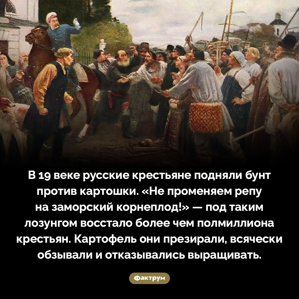Бунт против картошки. В 19 веке русские крестьяне подняли бунт против картошки. «Не променяем репу на заморский корнеплод!» — под таким лозунгом восстало более чем полмиллиона крестьян. Картофель они презирали, всячески обзывали и отказывались выращивать.