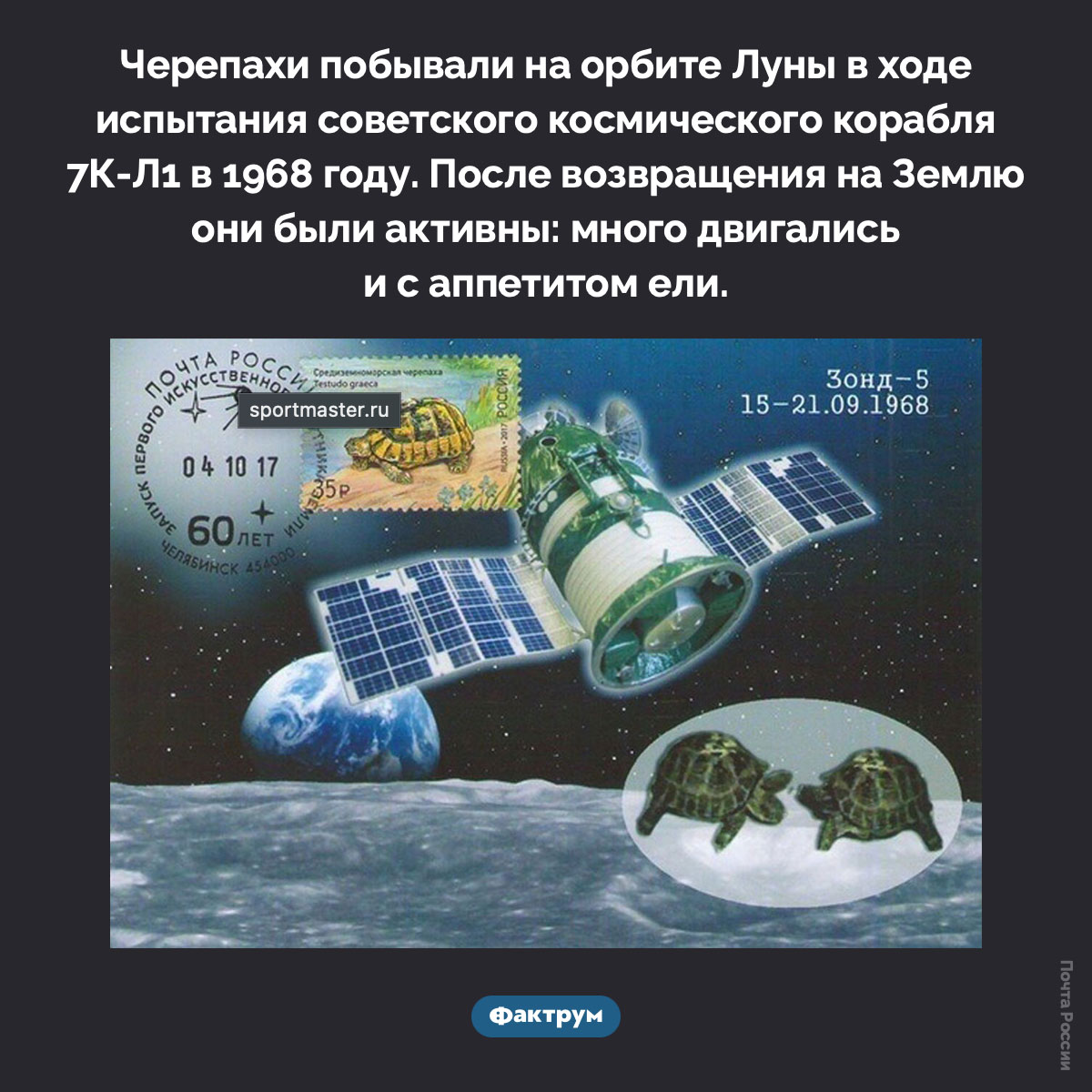 Черепахи были на орбите Луны. Черепахи побывали на орбите Луны в ходе испытания советского космического корабля 7К-Л1 в 1968 году. После возвращения на Землю они были активны: много двигались и с аппетитом ели.