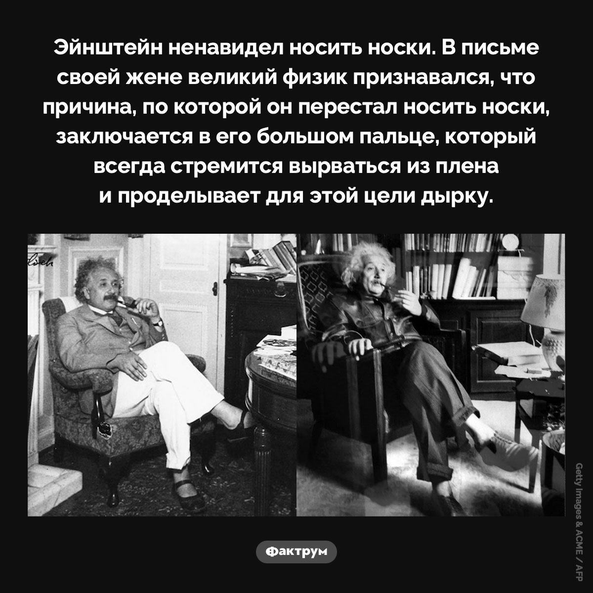 Эйнштейн и носки