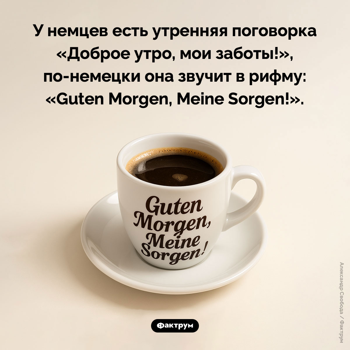 Guten Morgen, Meine Sorgen!