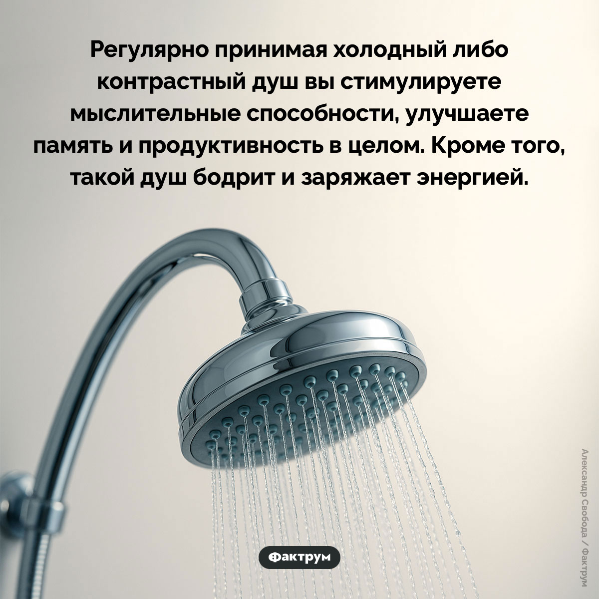 Холодный душ улучшает работу мозга. Регулярно принимая холодный либо контрастный душ вы стимулируете мыслительные способности, улучшаете память и продуктивность в целом. Кроме того, такой душ бодрит и заряжает энергией.
