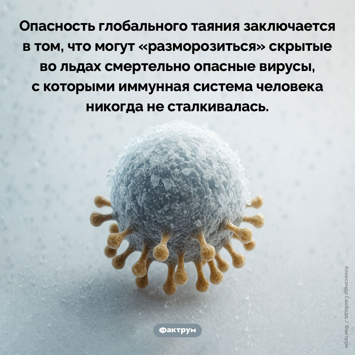 Ледники содержат неизвестные вирусы. Опасность глобального таяния заключается в том, что могут «разморозиться» скрытые во льдах смертельно опасные вирусы, с которыми иммунная система человека никогда не сталкивалась.