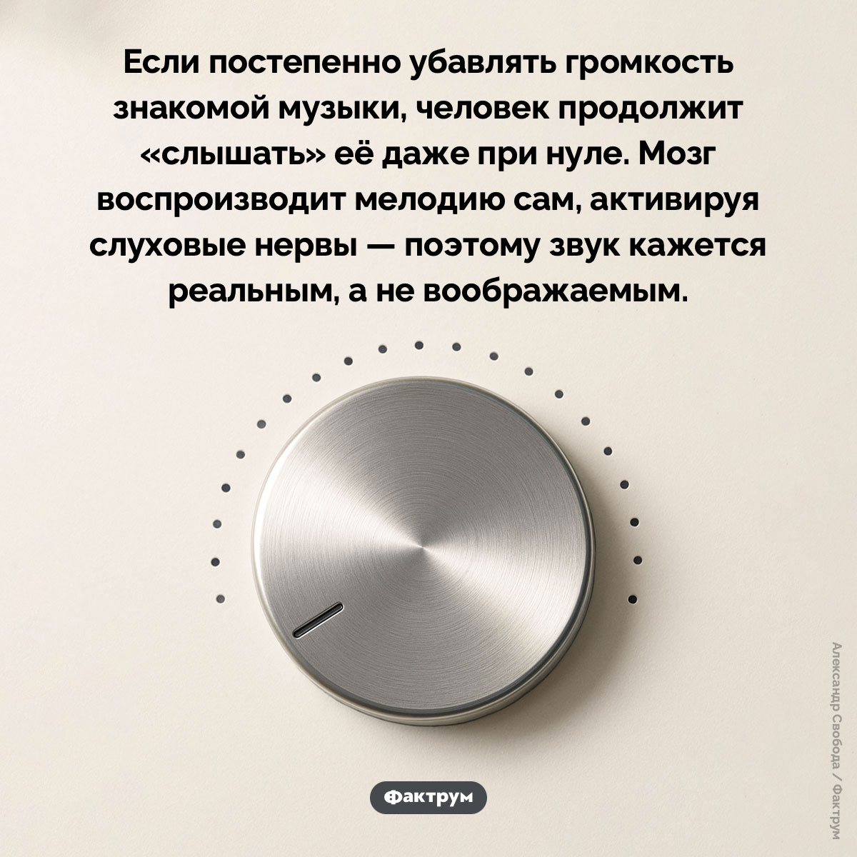 Мозг может воспроизводить мелодию. Если постепенно убавлять громкость знакомой музыки, человек продолжит «слышать» её даже при нуле. Мозг воспроизводит мелодию сам, активируя слуховые нервы — поэтому звук кажется реальным, а не воображаемым.
