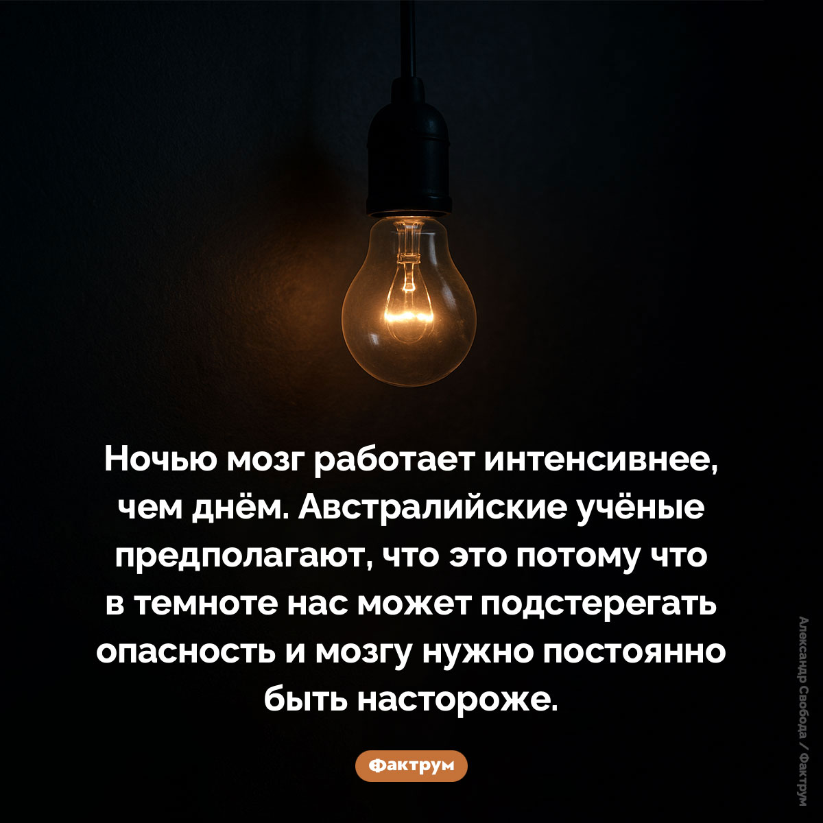 Ночью мозг работает лучше. Ночью мозг работает интенсивнее, чем днём. Австралийские учёные предполагают, что это потому что в темноте нас может подстерегать опасность и мозгу нужно постоянно быть настороже.