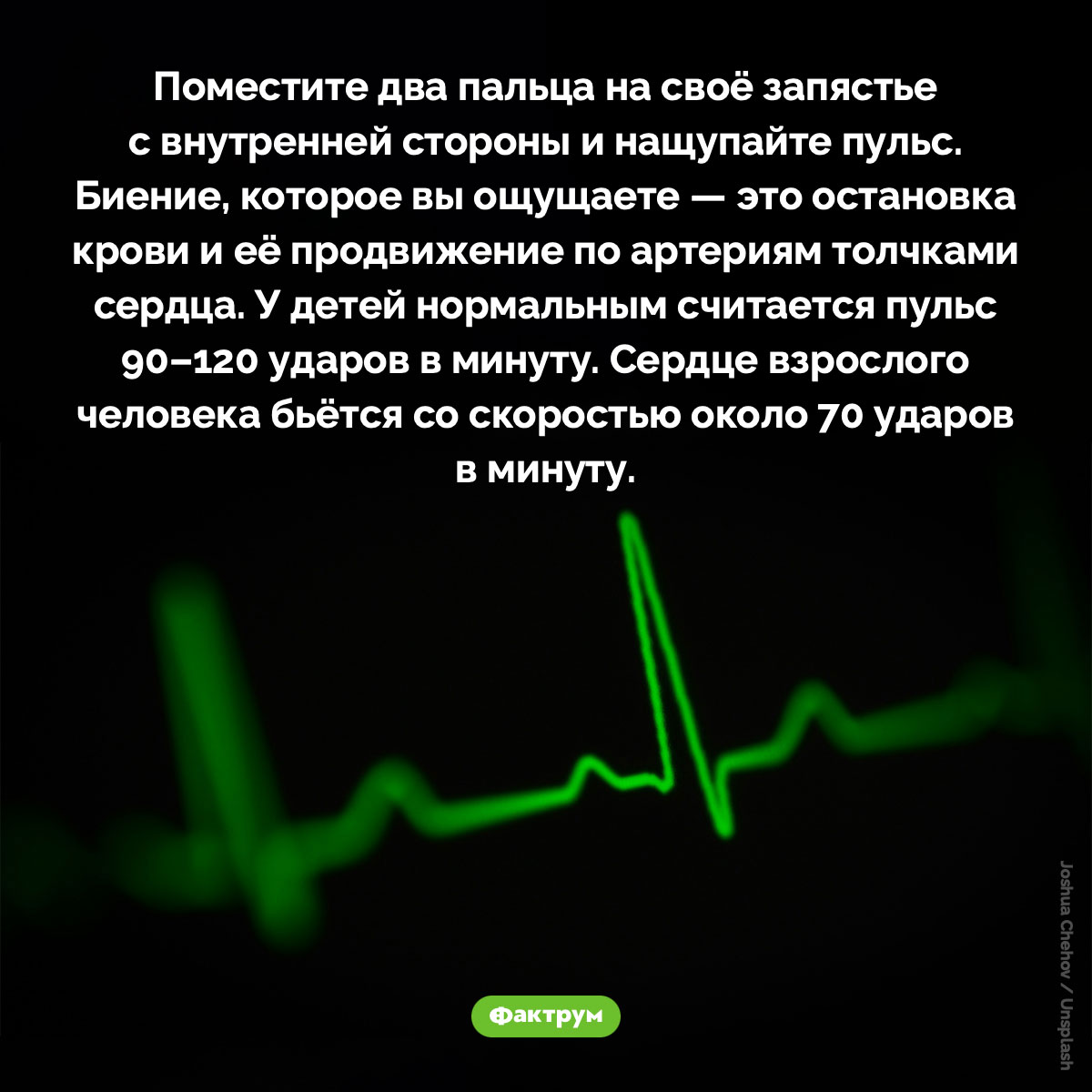 О человеческом пульсе. Поместите два пальца на своё запястье с внутренней стороны и нащупайте пульс. Биение, которое вы ощущаете — это остановка крови и её продвижение по артериям толчками сердца. У детей нормальным считается пульс 90–120 ударов в минуту. Сердце взрослого человека бьётся со скоростью около 70 ударов в минуту.