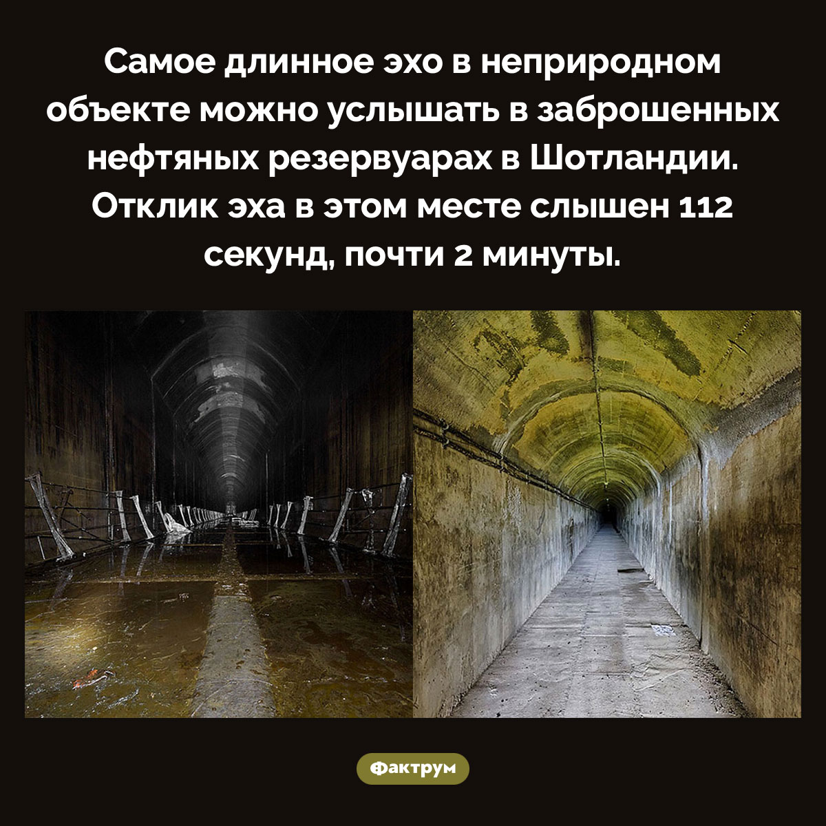 Самое длинное эхо в неприродном объекте. Самое длинное эхо в неприродном объекте можно услышать в заброшенных нефтяных резервуарах в Шотландии. Отклик эха в этом месте слышен 112 секунд, почти 2 минуты.