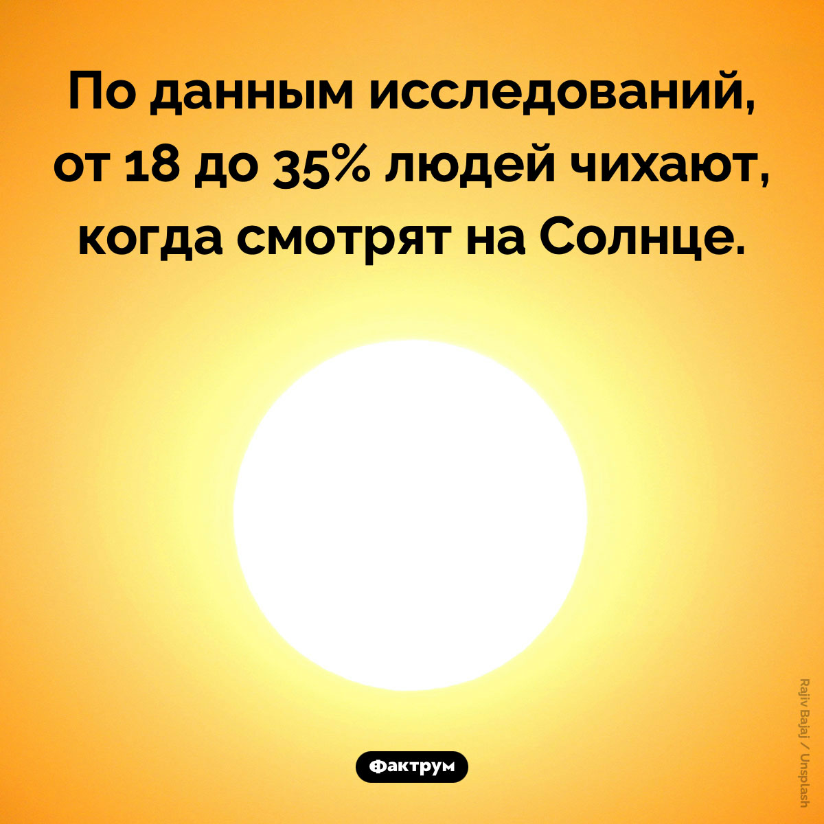 Сколько людей чихает, когда смотрят на Солнце. По данным исследований, от 18 до 35% людей чихают, когда смотрят на Солнце.