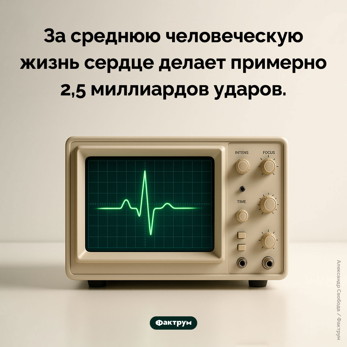 Сколько ударов сердце делает за жизнь. За среднюю человеческую жизнь сердце делает примерно 2,5 миллиардов ударов.