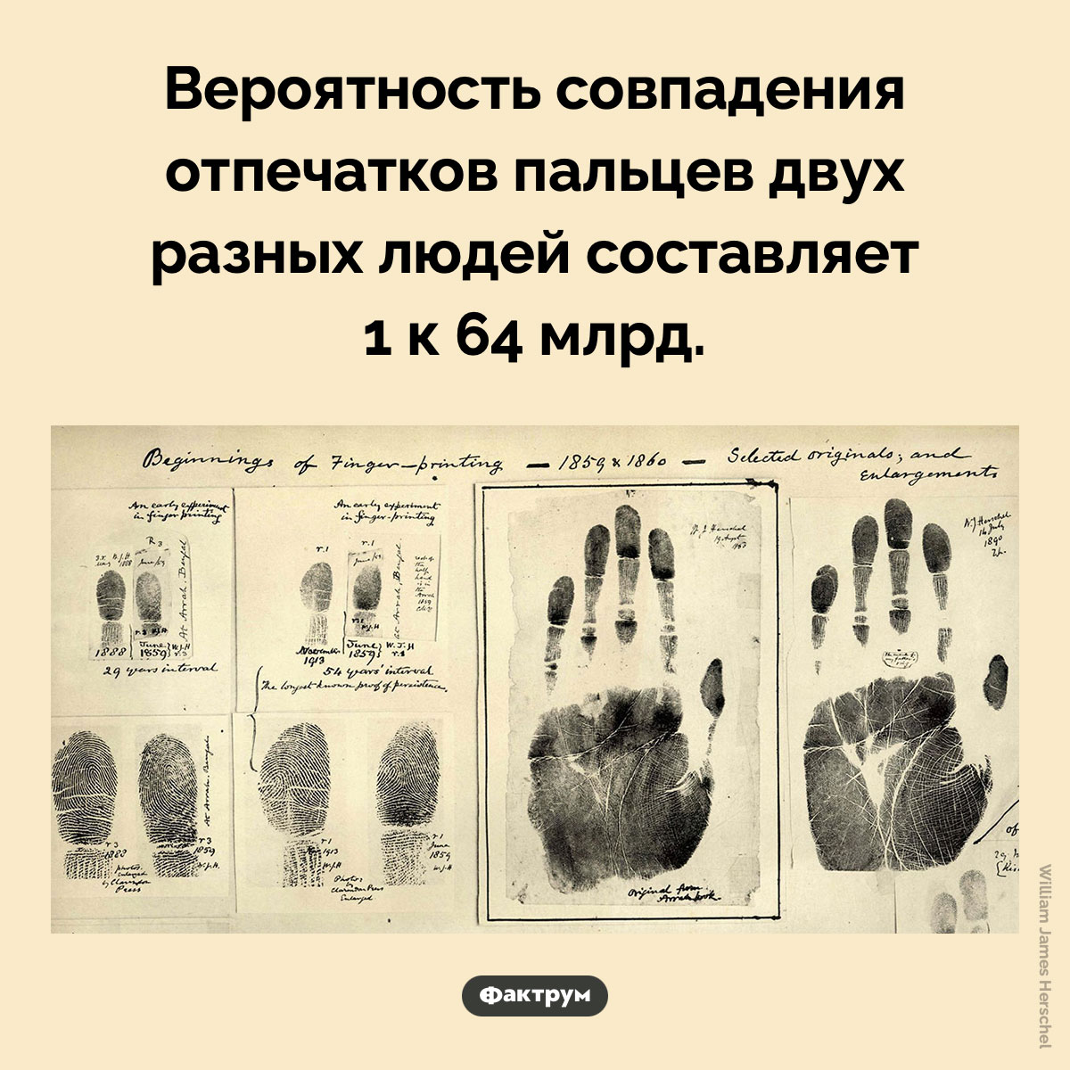 Совпадение отпечатков пальцев. Вероятность совпадения отпечатков пальцев двух разных людей составляет 1 к 64 млрд.