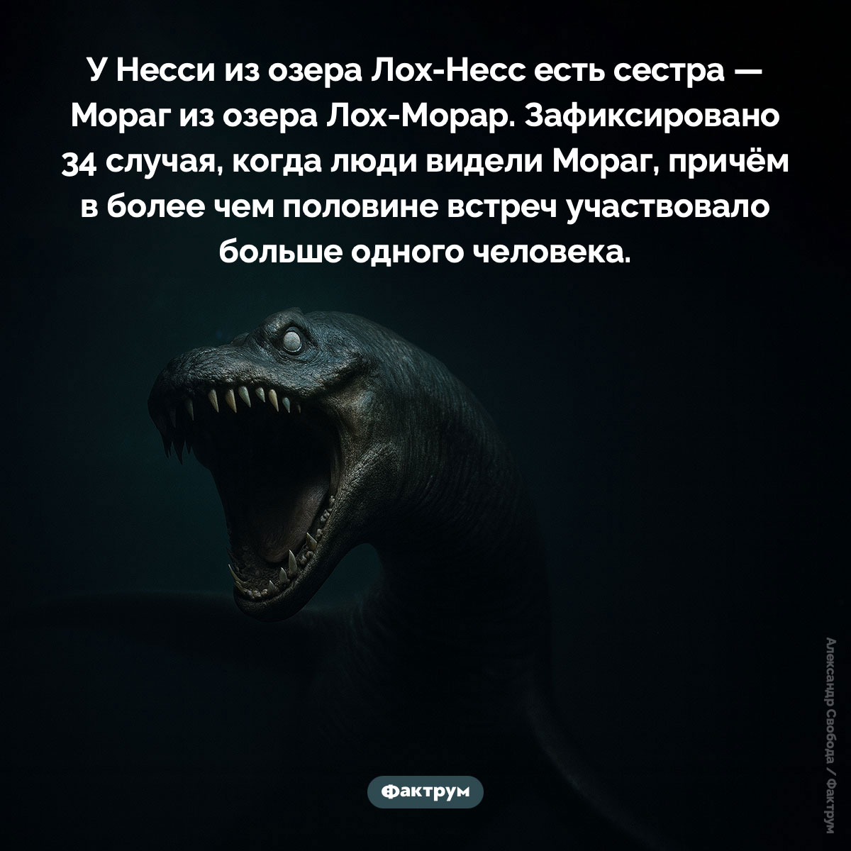 У Несси из озера Лох-Несс есть сестра — Мораг из озера Лох-Морар. У Несси из озера Лох-Несс есть сестра — Мораг из озера Лох-Морар. Зафиксировано 34 случая, когда люди видели Мораг, причём в более чем половине встреч участвовало больше одного человека.