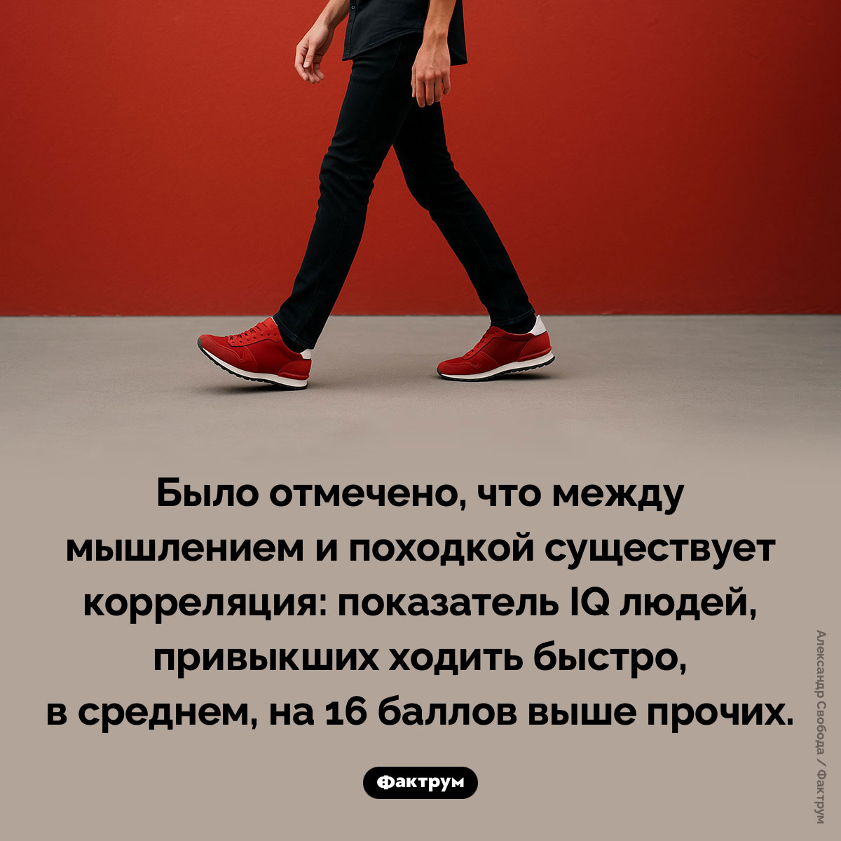 Умные люди ходят быстро