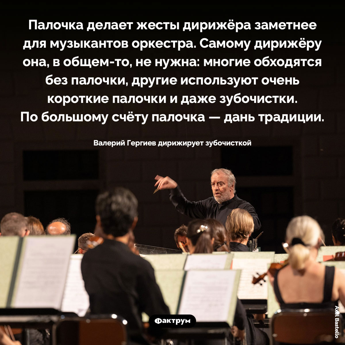 Зачем дирижёру нужна палочка