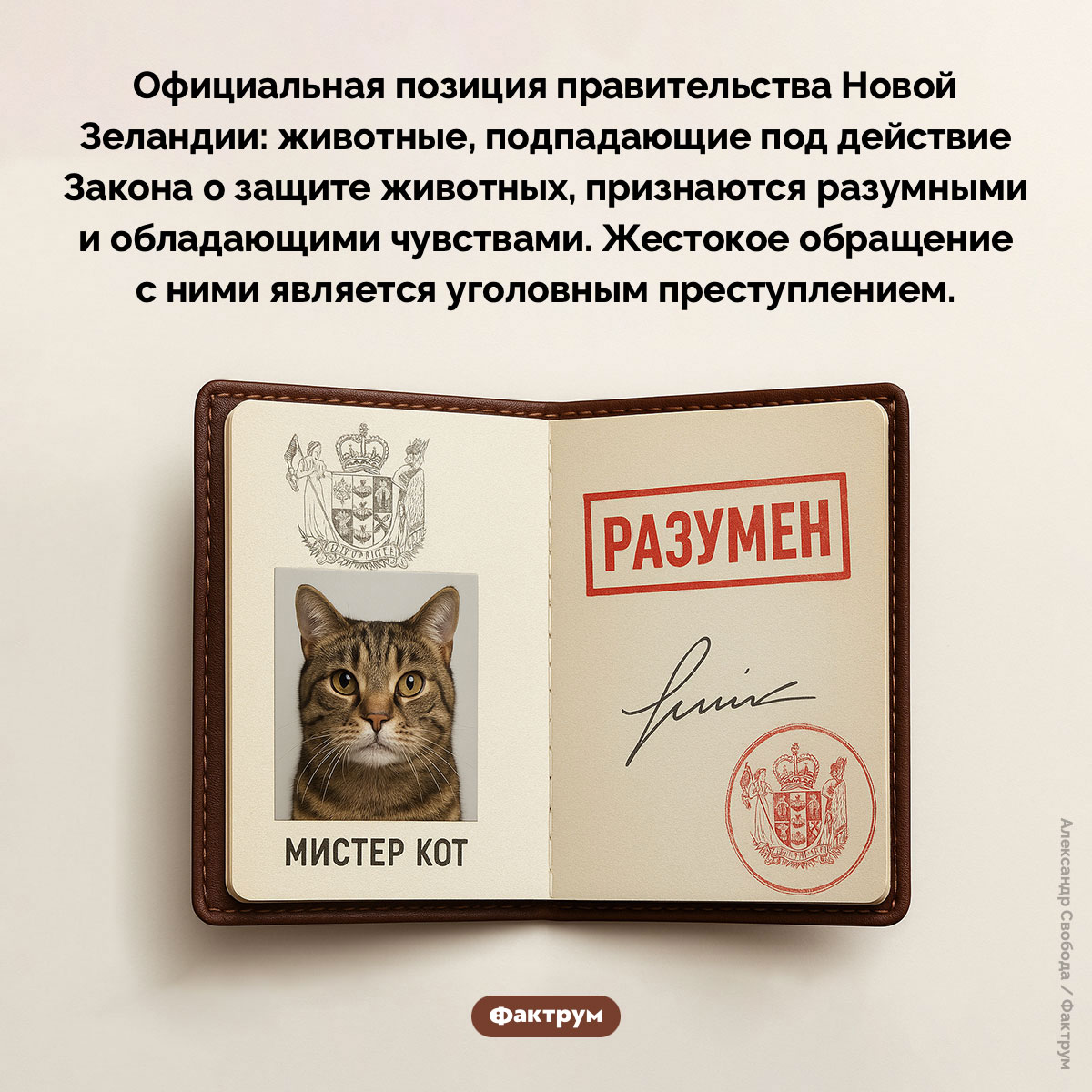 Закон о защите животных в Новой Зеландии. Официальная позиция правительства Новой Зеландии: животные, подпадающие под действие Закона о защите животных, признаются разумными и обладающими чувствами. Жестокое обращение с ними является уголовным преступлением.