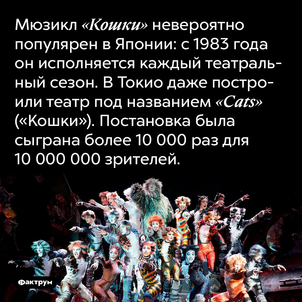Мюзикл кошки презентация