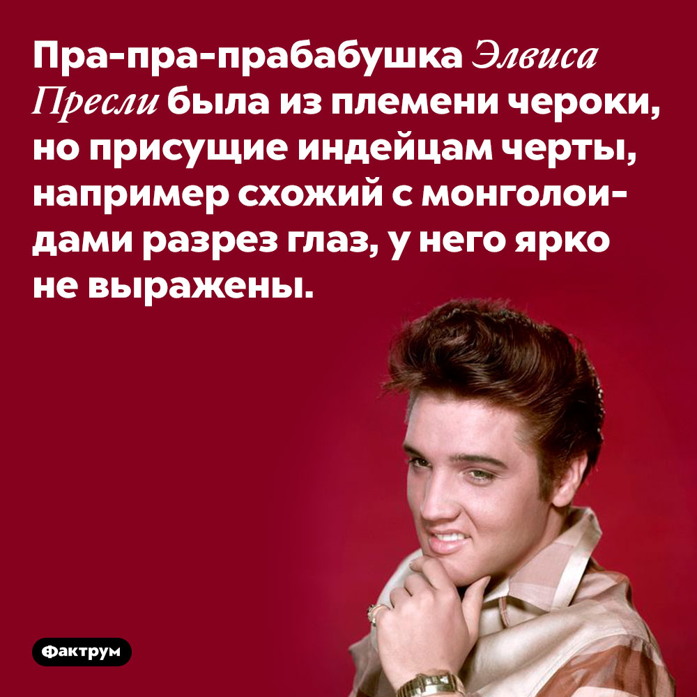 Пра-пра-прабабушка Элвиса Пресли была из племени чероки. ...но присущие индейцам черты, например схожий с монголоидами разрез глаз, у него ярко не выражены.